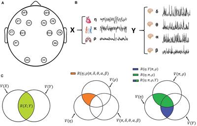 Multivariate Correlation Measures Reveal Structure and Strength of Brain–Body Physiological Networks at Rest and During Mental Stress